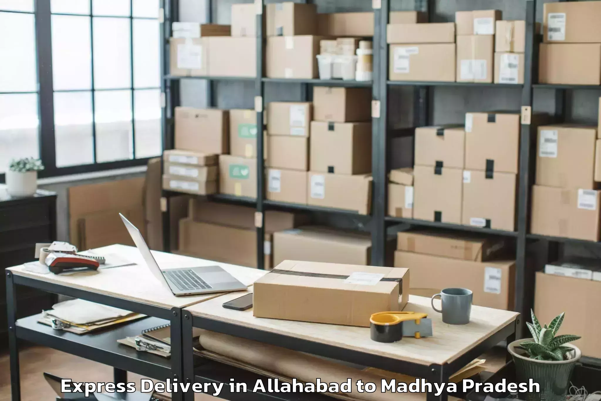 Professional Allahabad to Manawar Express Delivery